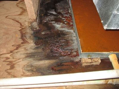 About Crawl Space Mold Remediation Southaven - basement water damage restoration experts in Southaven