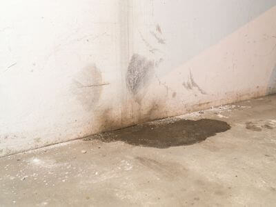 Professional basement water damage restoration services in Southaven - Crawl Space Mold Remediation Southaven